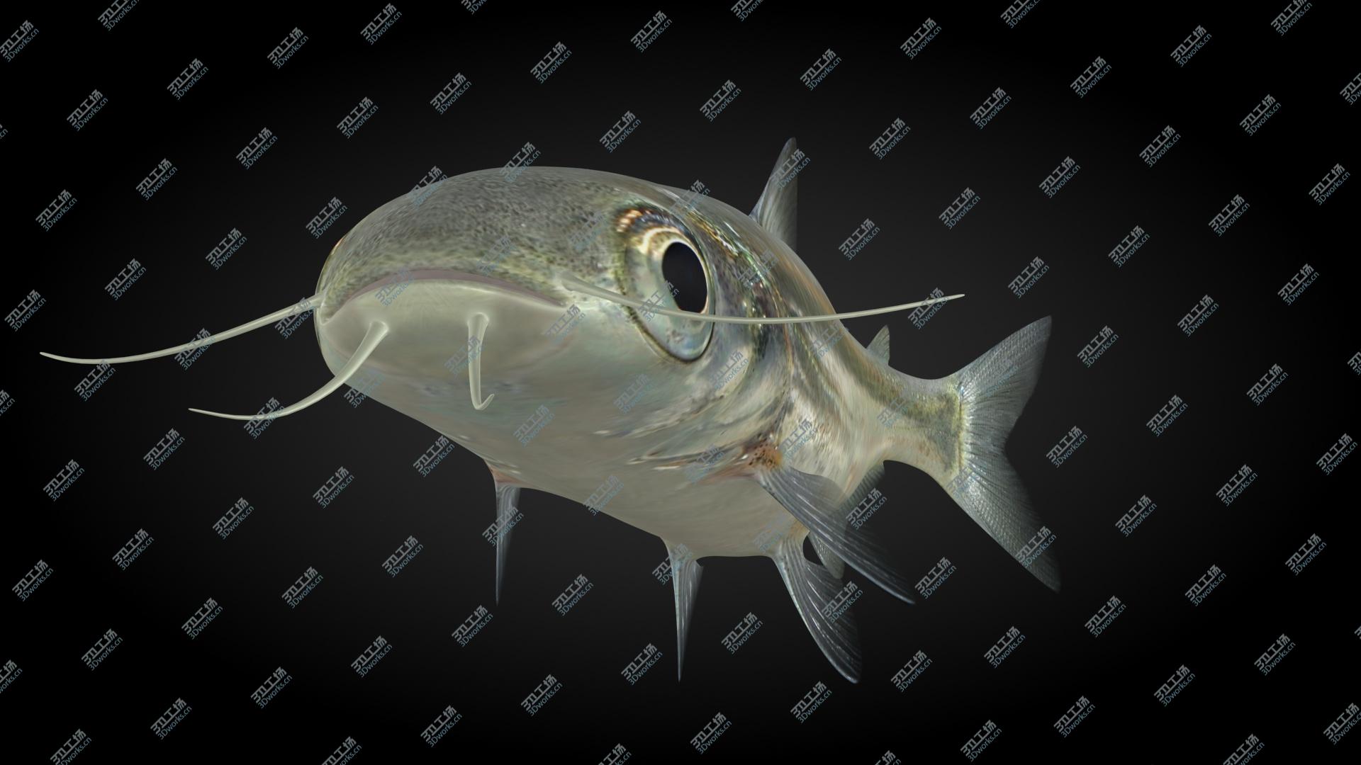 images/goods_img/2021040163/3D Iridescent Shark Animated model/5.jpg